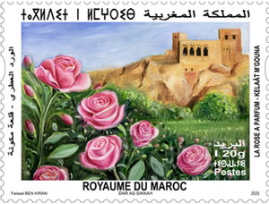 Roses and View of Qal'at Maguna